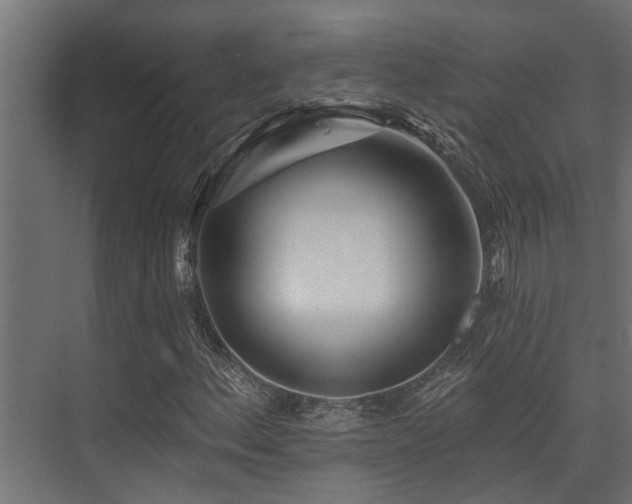X0000075351156200609081142