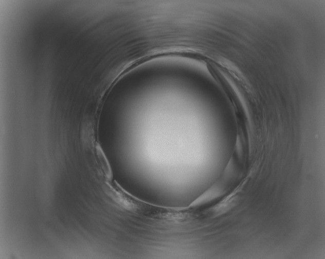 X0000075351177200609081142