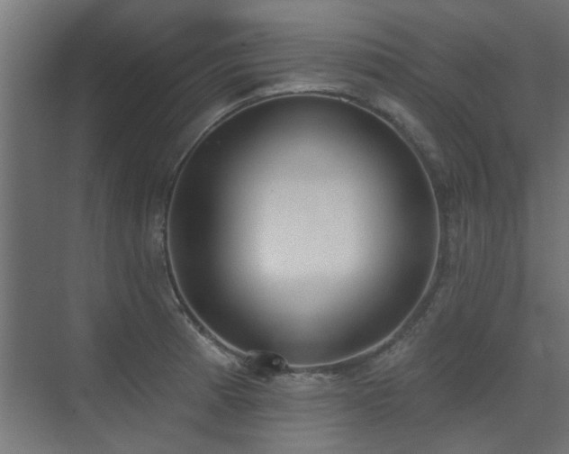X0000075351185200609081141