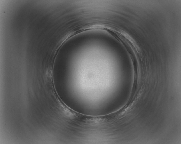 X0000075351193200609081141
