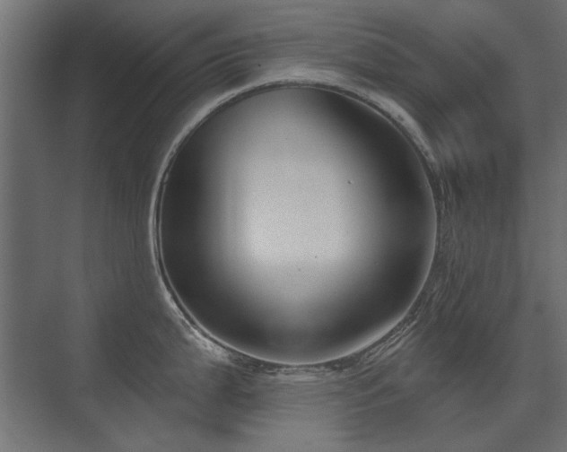 X0000075351199200609081141