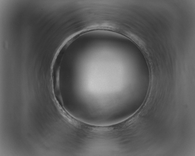 X0000075351200200609081141