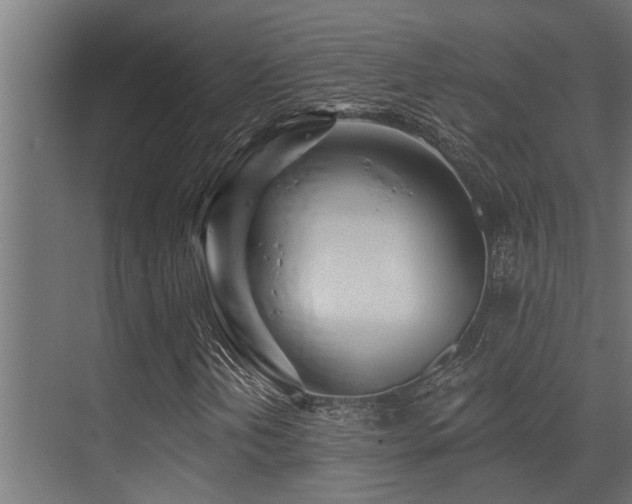 X0000075351202200609081140