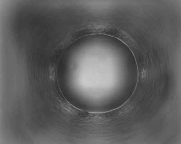 X0000075351204200609081140
