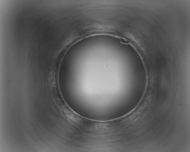 X0000075351211200609081141