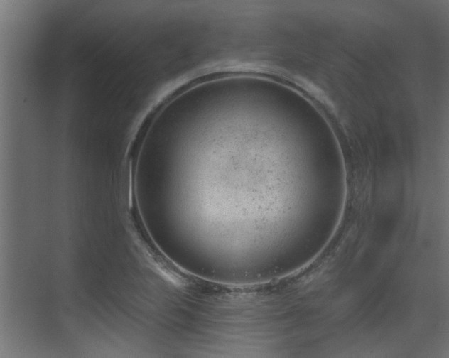 X0000075351223200609081141