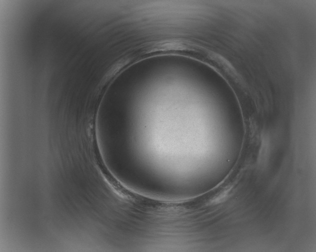 X0000075351225200609081141