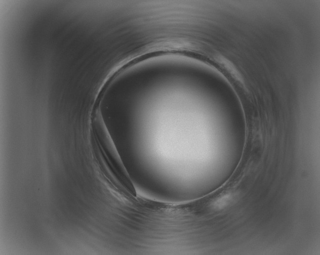 X0000075351226200609081141