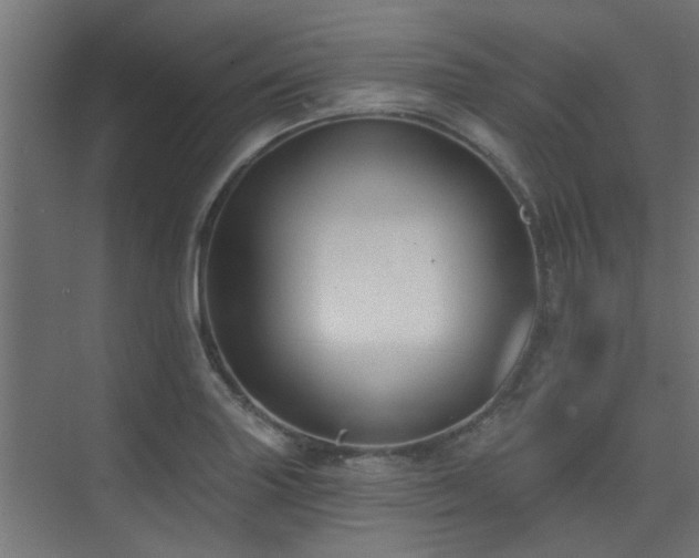 X0000075351227200609081141