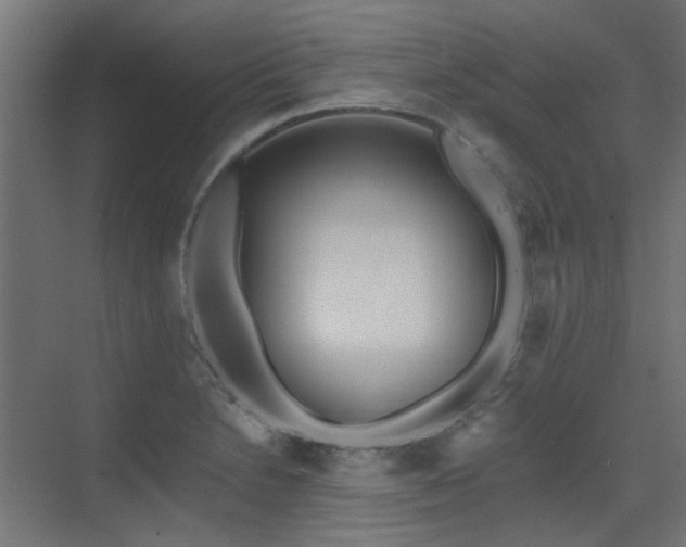 X0000075351230200609081141