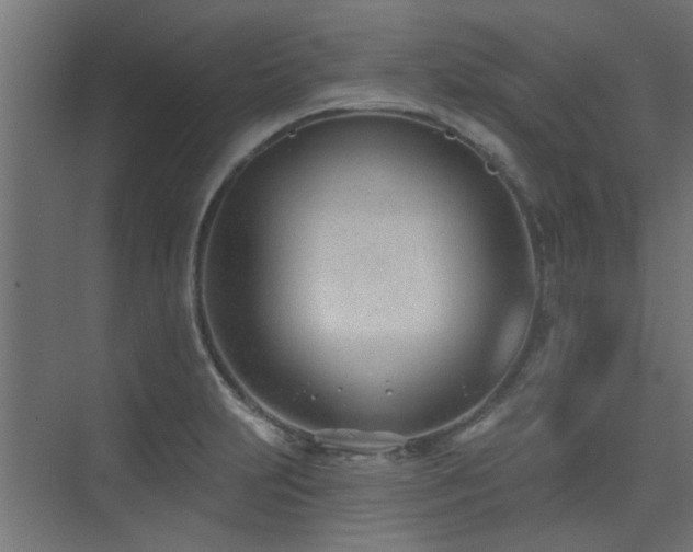 X0000075351231200609081141