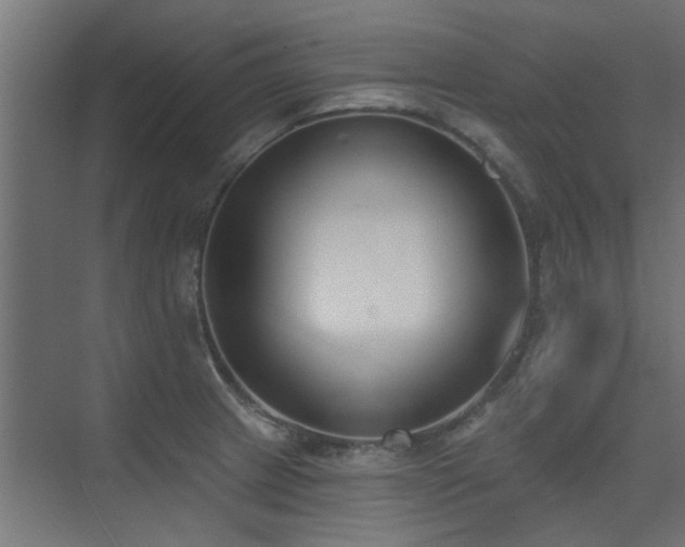 X0000075351233200609081141