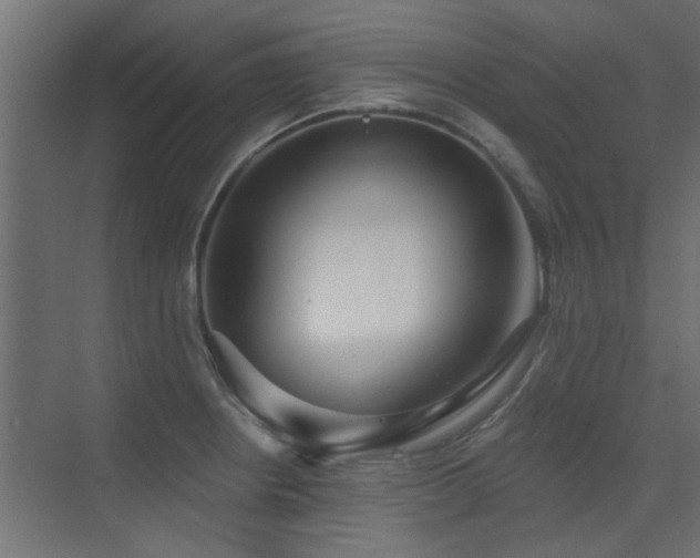 X0000075351234200609081141