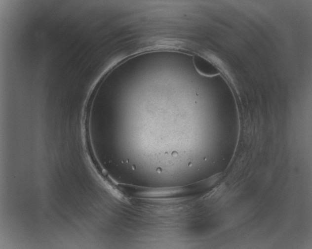X0000075351235200609081141