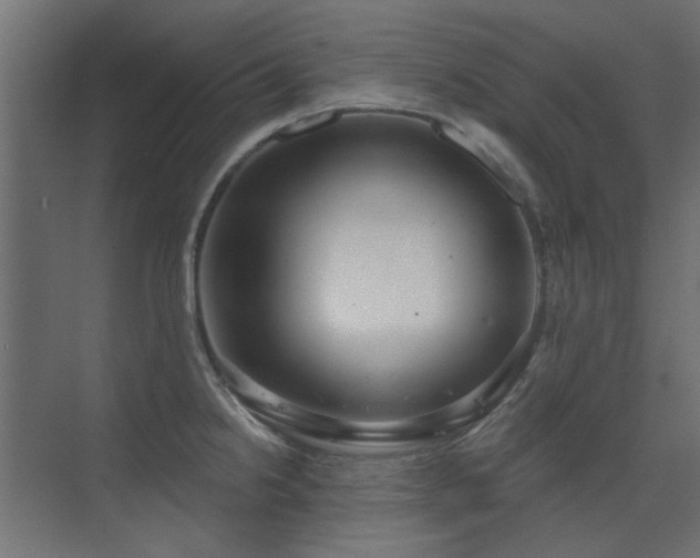 X0000075351238200609081141