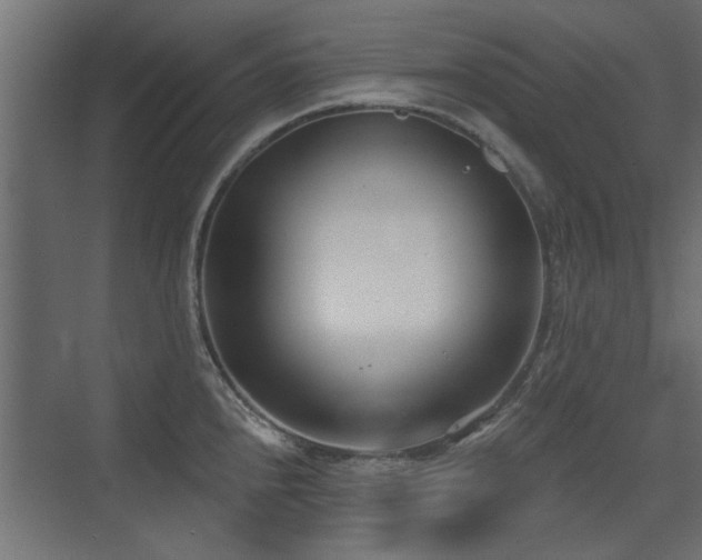 X0000075351240200609081141
