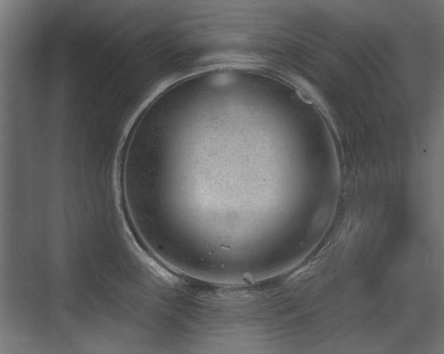 X0000075351243200609081141