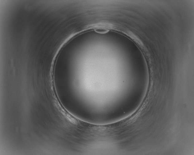 X0000075351248200609081141