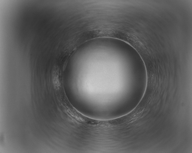 X0000075351250200609081140