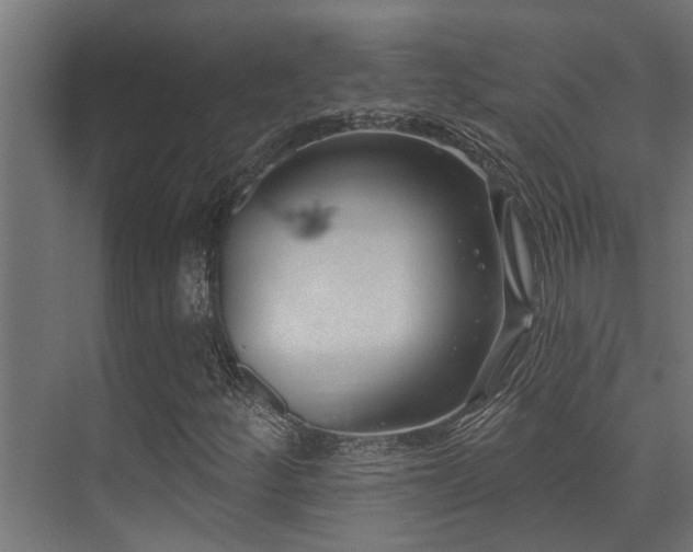 X0000075351252200609081140