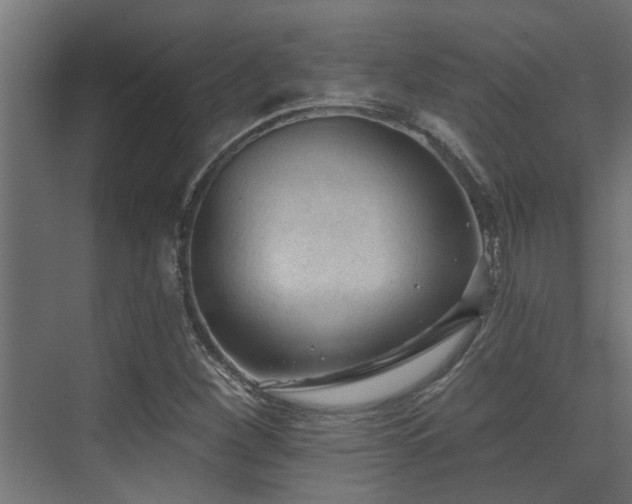 X0000075351260200609081140