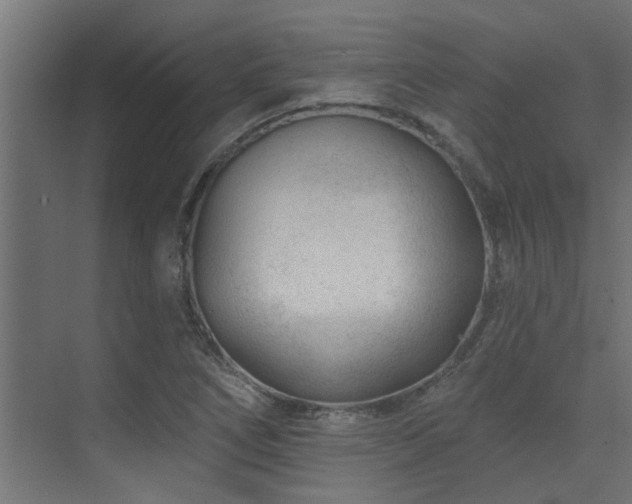 X0000075351266200609081140