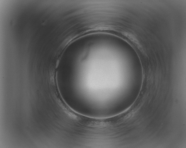X0000075351273200609081140