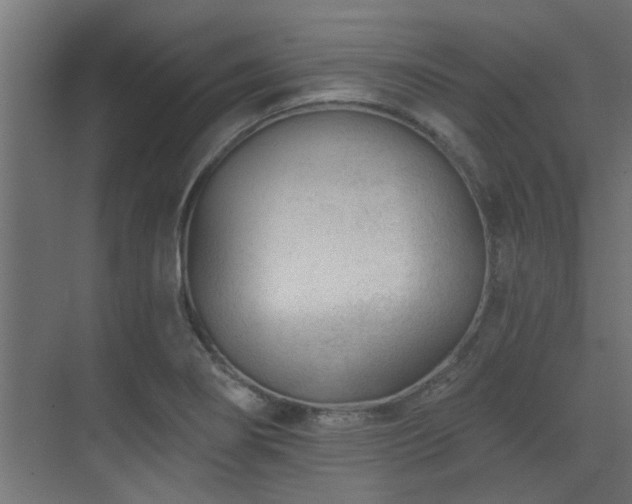 X0000075351274200609081140