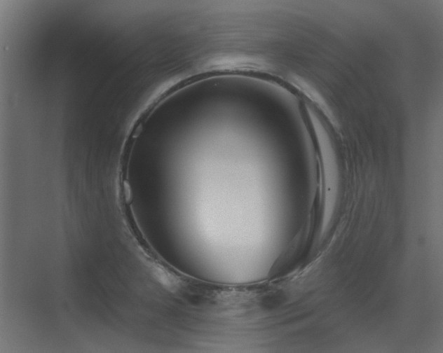 X0000075351277200609081140