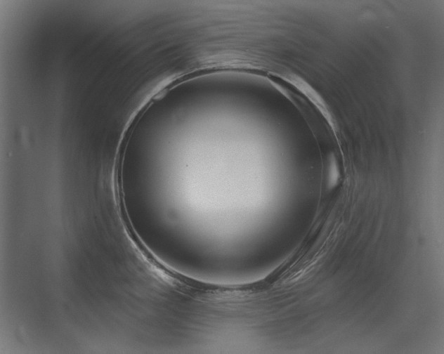 X0000075351293200609081140