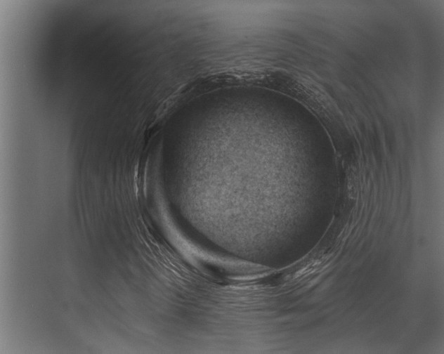 X0000075351298200609081139