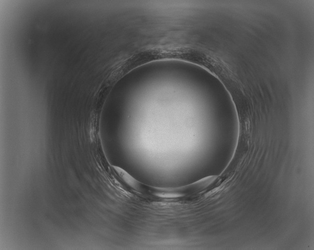 X0000075351300200609081139