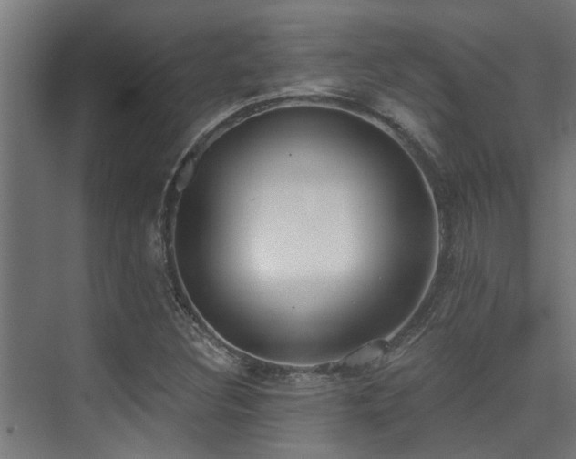X0000075351308200609081139