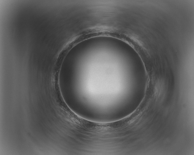 X0000075351309200609081139