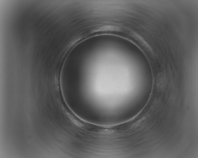 X0000075351321200609081139