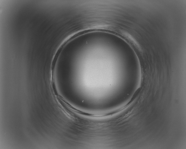 X0000075351324200609081139