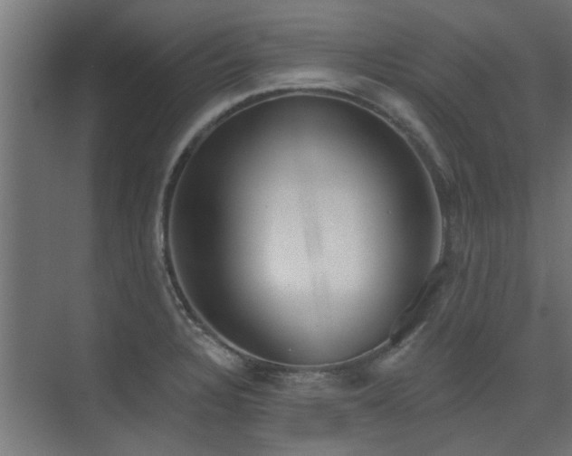 X0000075351328200609081139