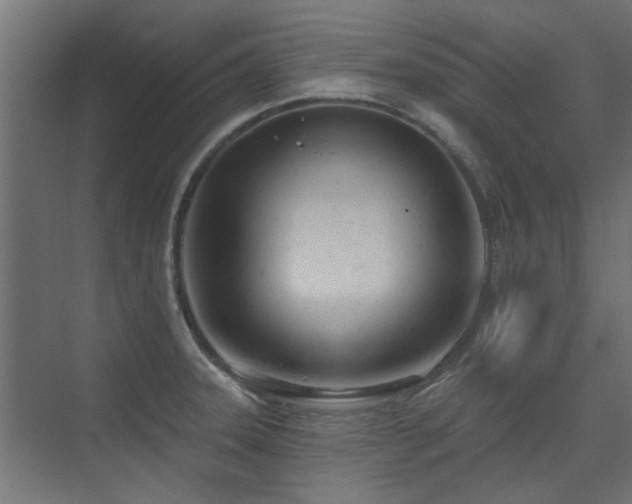 X0000075351331200609081139