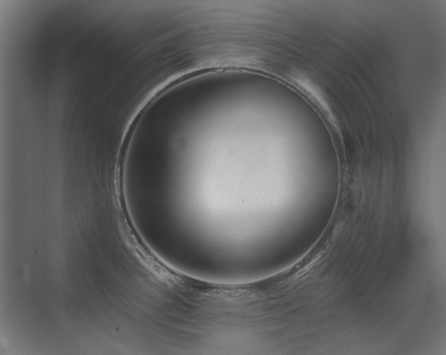 X0000075351340200609081139