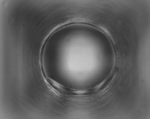 X0000075351342200609081139