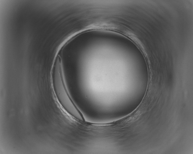 X0000075351344200609081140