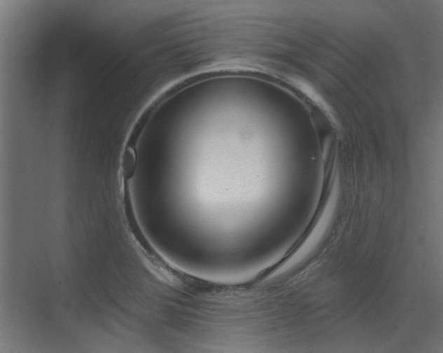 X0000075351372200609081138