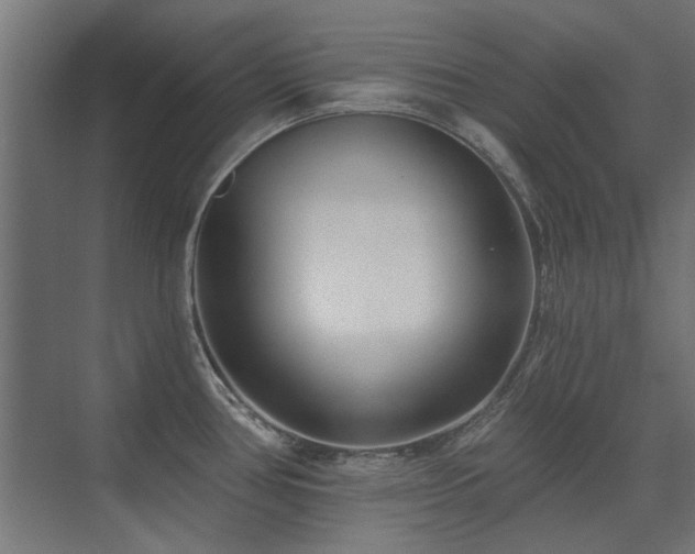 X0000075351386200609081138