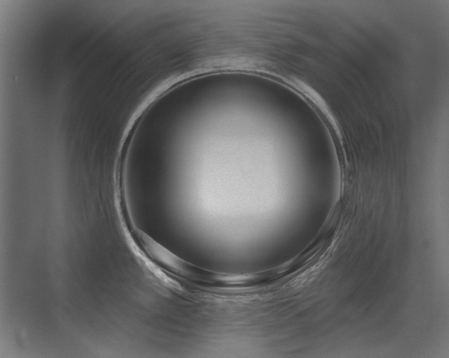 X0000075351389200609081138
