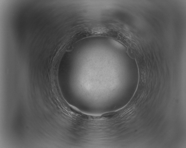 X0000075351393200609081137