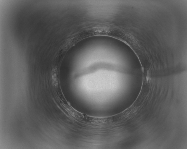 X0000075351396200609081137