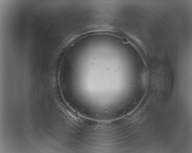 X0000075351407200609081137