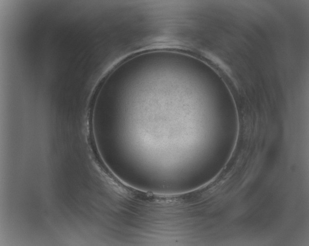 X0000075351415200609081137