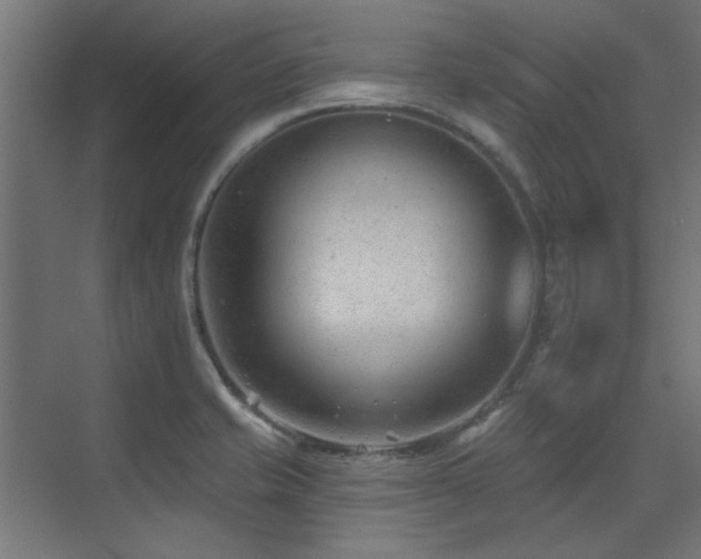 X0000075351421200609081138