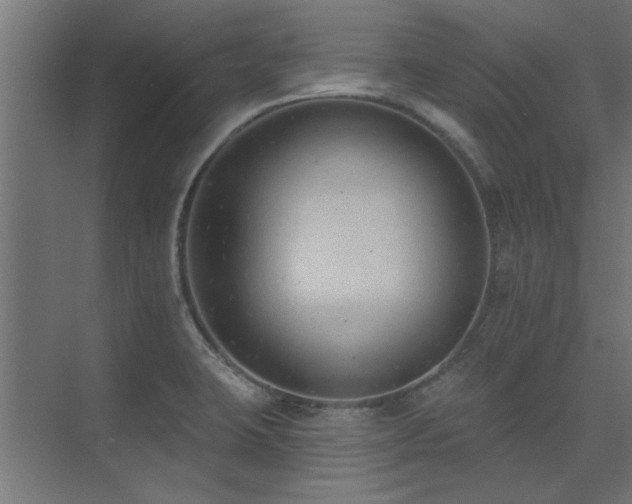X0000075351423200609081138